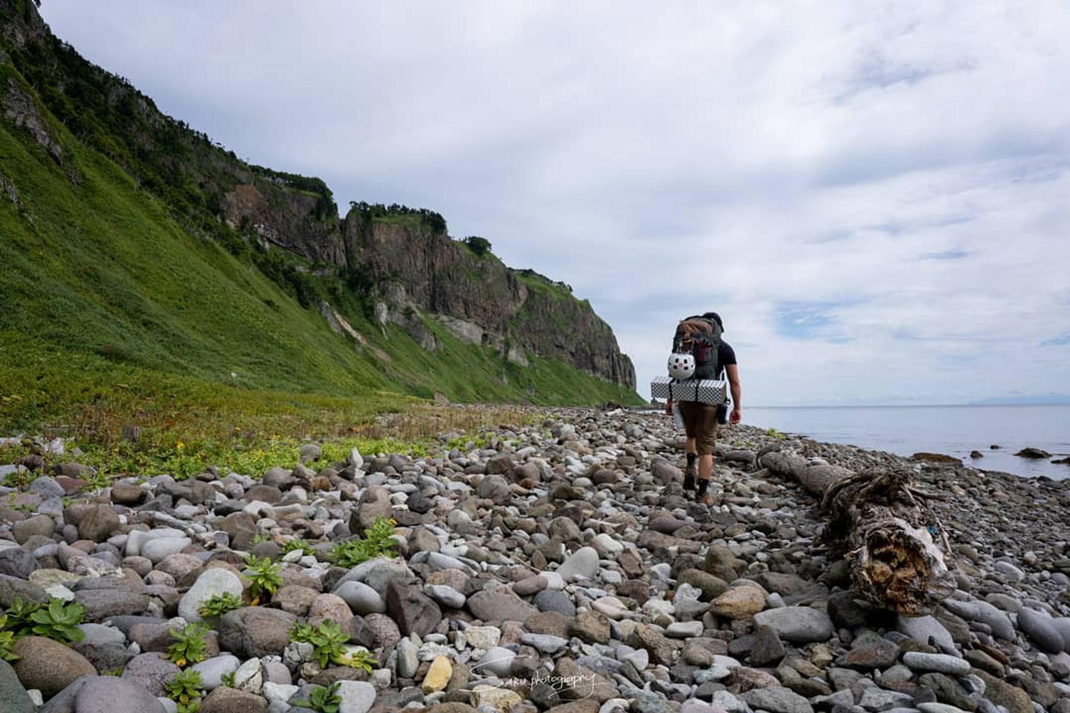 Before I flew back to CA, I trekked with @saru.tomokikokubun up the northeast coast of Hokkaido by Shiretoko, a world heritage site. There were no roads and no trails, it was just hugging the coastline and me dodging bears / Tomoki looking for bears to take pictures of. It was such a raw experience. I heard a bear's footsteps around our tent at night (no food though, it was all in a bear container far away from us). Made me feel like such a fragile human being clutching my bear spray knowing if something happened, it'd be me who'd lose lol. No light meant the night sky was bright with stars. I ended up making a stupid mistake and dropped my pack on my bear spray, releasing the (shitty) safety and basically blasting the two of us. I figured bear spray would be painful... But damn it's painful. It soaked into my backpack and so rubbed into my back, making the rest and next day soo miserable. But damn it was a hell of a beautiful experience. In that picture by the river, the entire river mouth was bustling with trout waiting for the tide to rise so they could climb the river. It was such a cool sight to see. You can see some of them waiting around in the far back. Tomoki is an AMAZING photographer, nature guide, and good human being. He took all of these pictures. Check his work out at https://www.saru-tomokikokubun.com/portfolio.-1
