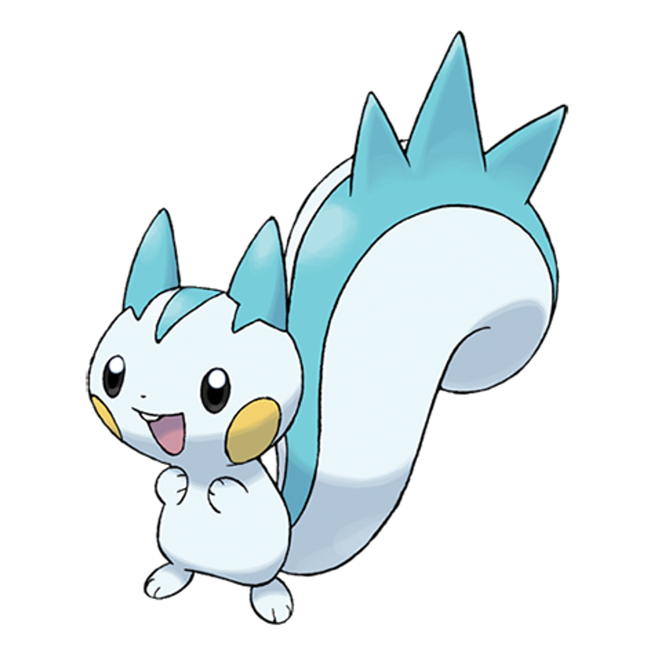 Pachirisu-1
