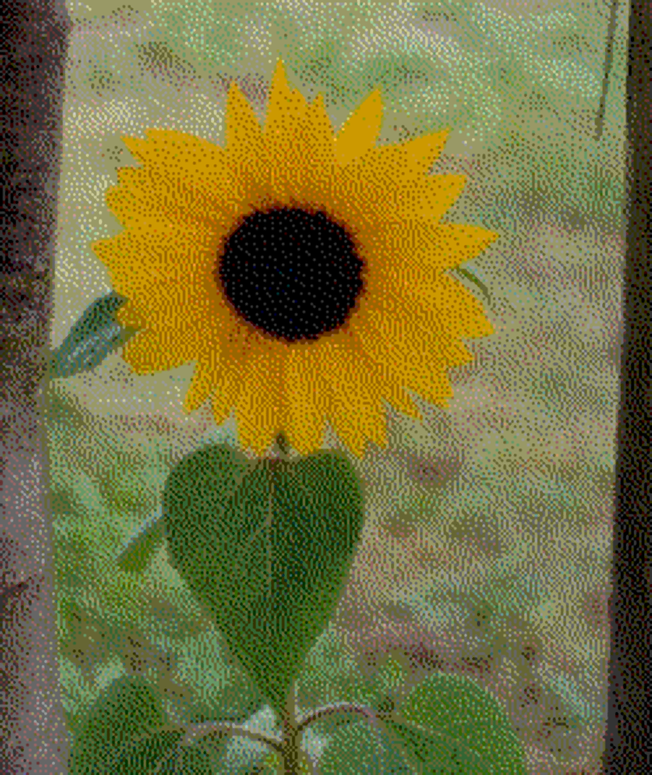 static gif test-1